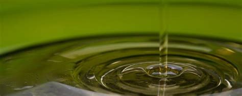 Proceso de refinación del aceite de oliva TRESCES AOVE
