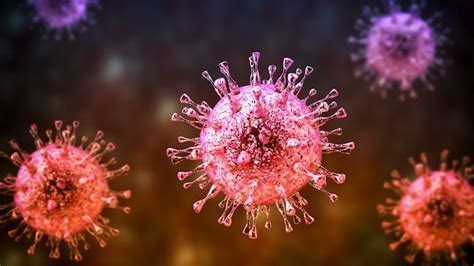Let The Immune Cell See The Virus Scientists Discover Unique Way To