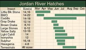 Hatch Charts True North Trout