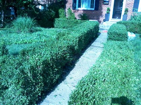 (you/a newspaper/deliver) to your house every day, or do you go out and buy one ? HOME | FOOD | GARDEN: Trimming Boxwoods and Gearing up for ...