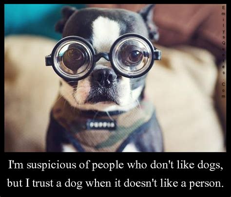Im Suspicious Of People Who Dont Like Dogs But I Trust