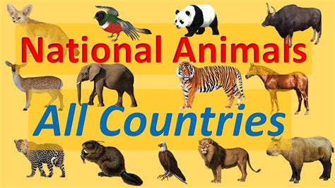 National Animals Of All Countries Flags Scientific Name National