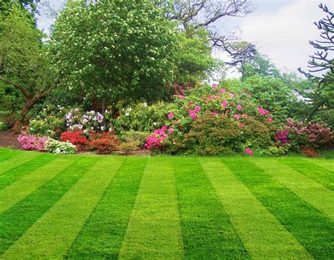 Spring Lawn Maintenance Steps at Forrest Tomlinson blog