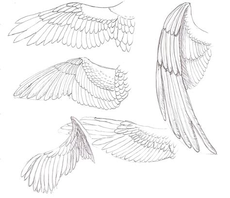 Angel Wings Drawing Reference Ute Bullard