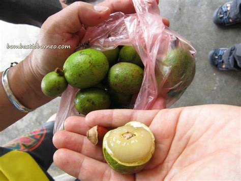 Your malaysia local fruit stock images are ready. 'Crystal' Fruit (Matoa) | BOMBASTIC BORNEO