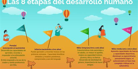 Las Etapas Del Desarrollo Humano