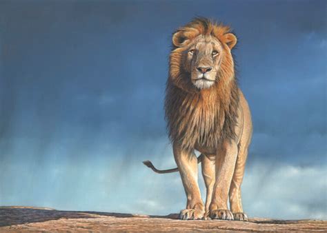 Eric Wilson Fine Art Paintings Of Lions Lion Art In Oils And In Pastel