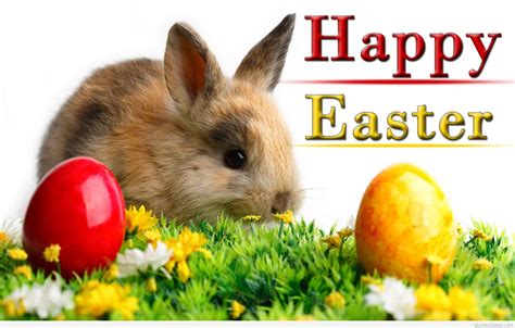 Happy Easter Bunny Wallpapers And Quotes