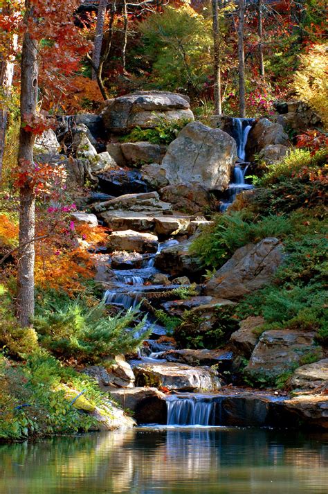 #1 natural water pond design with koi fish and lilies. Koi Pond Cascade in fall. This is why I want to get ...