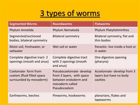 Ppt Flatworms Roundworms And Segmented Worms Powerpoint Presentation