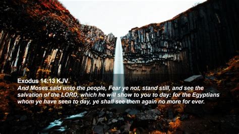 Exodus KJV Desktop Wallpaper And Moses Said Unto The People Fear Ye Not