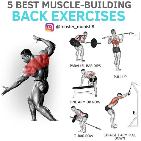 The Best Five Moves To Build A Stronger Broader Upper Back With Crazy