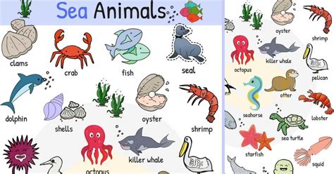 Pokemon x evolution chart memes. Sea Animals: Water, Ocean & Sea Animal Names With Images ...