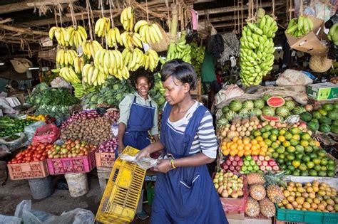 Recognizing the importance of agriculture. Enhancing the capacity of Uganda's fruit and vegetable ...