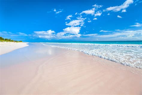 Caribbean Paradise The 40 Best Beaches In The Bahamas Sandals