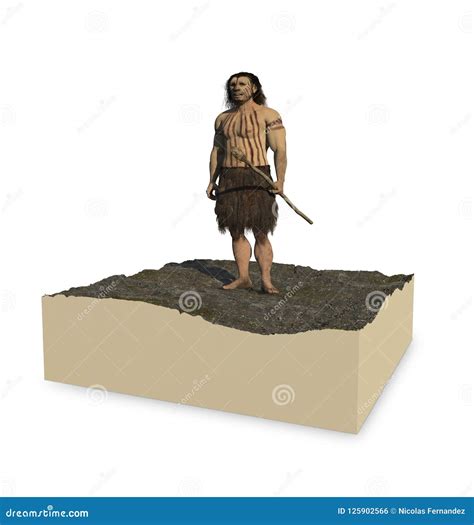 Neanderthal Stock Illustration Illustration Of Fossil 125902566