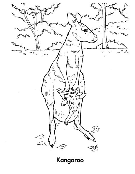 There isn't an angel at the top of this christmas tree, but there is a koala! Free Printable Kangaroo Coloring Pages For Kids | Animal Place