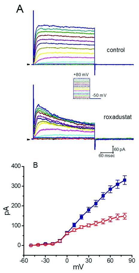 Effect Of Roxadustat On I Kdr Recorded From Heart Derived H9c2 Cells