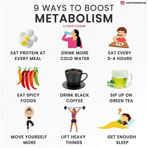 Top 10 Reasons Why You Need To Boost Your Metabolism Carrie Visintainer