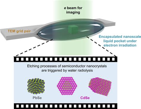 Fl Ssigzellen Transmissionselektronenmikroskopie Fazit Von Halbleiter Nanokristallen Aus Der Welt