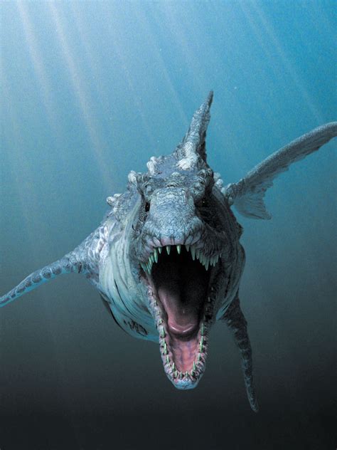 Dinoshark Monster Moviepedia Fandom Powered By Wikia