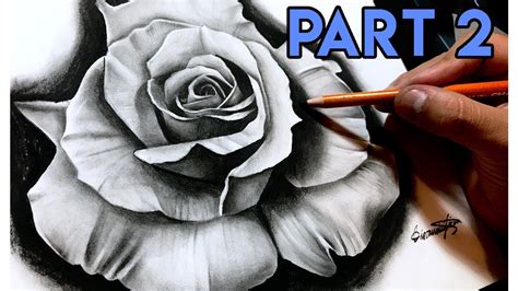 How To Draw A Realistic Rose Best Tutorial Part 2 Youtube