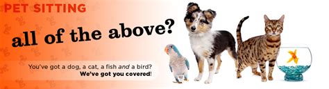 Pet sitter job in madison, wisconsin. Madison Pet Sitting Services | Out-U-Go! | Madison