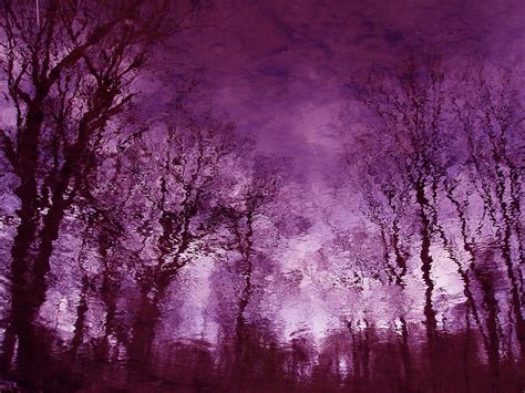 Purple Fog Wallpaper Nature And Landscape Wallpaper Better