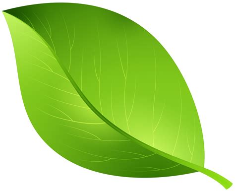 Download Leaf Green Cartoon Transparent Free Photo Png Hq Png Image