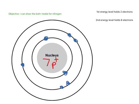 Bohr Model For Nitrogen Science Chemistry Elements ShowMe