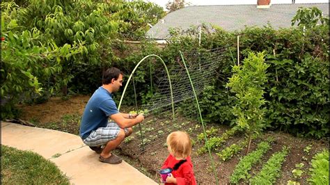 Easy And Simple Cucumber Trellis For Vertical Growing By The California