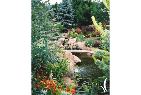 Koi Pond and Garden | Escape Garden Design - Garden Design, Landscape Construction & Site ...