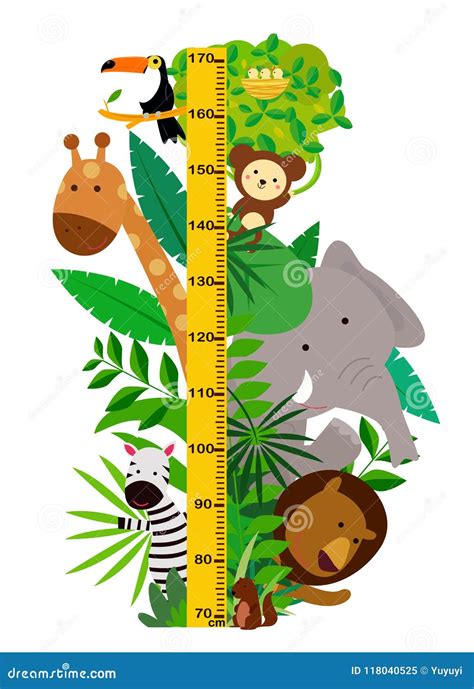 Meter Height Cute Hippos Children S Height Measurements Vector