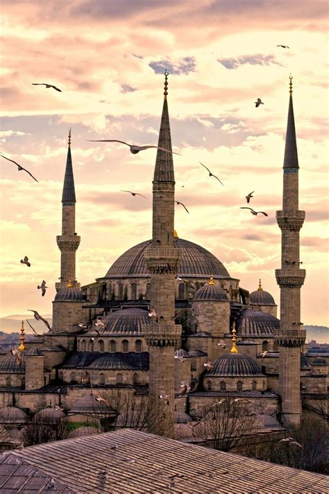 800x1200 Обои istanbul turkey стамбул город мечеть султанахмет