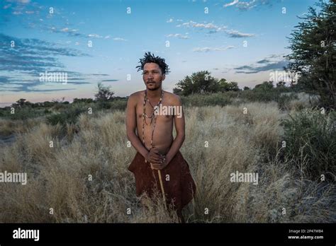 Africa Botswana Kalahari Desert Portrait Of A Hunter Gatherer Of The Kung People Part Of