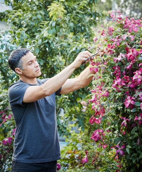 Floral Designer Max Gills Best Tips For Creating His Signature Garden