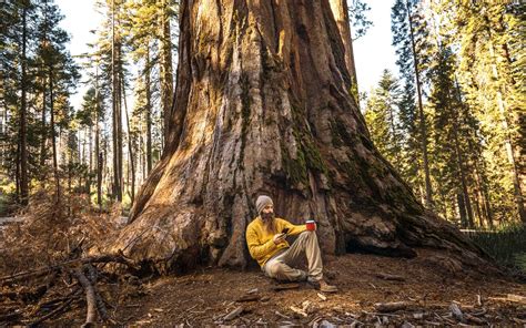 Sequoia National Park Will Soon Have Cell Service Travel