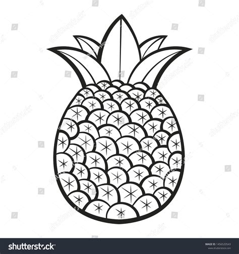 Pineapple Exotic Fruits Coloring Book Adults Stock Vector Royalty Free