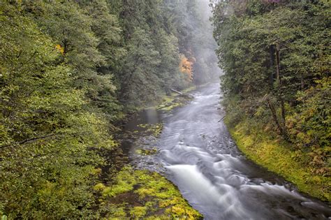 river, Forest, Trees, Forest, Autumn, Fog, Mist Wallpapers HD / Desktop 