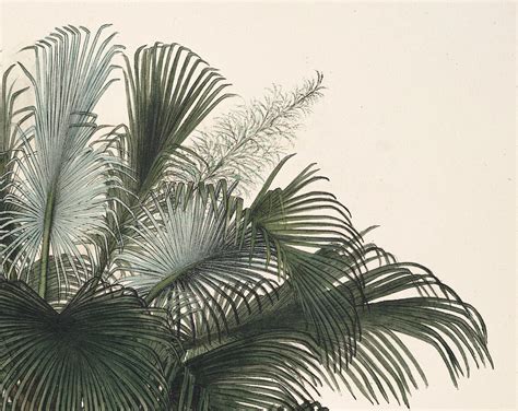Palm Tree Print Botanical Print Set Of 3 Prints Wall Art Set Etsy