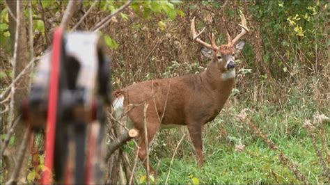 Bowhunting Deer Boom Or Bust 2015 Deer Hunt Youtube