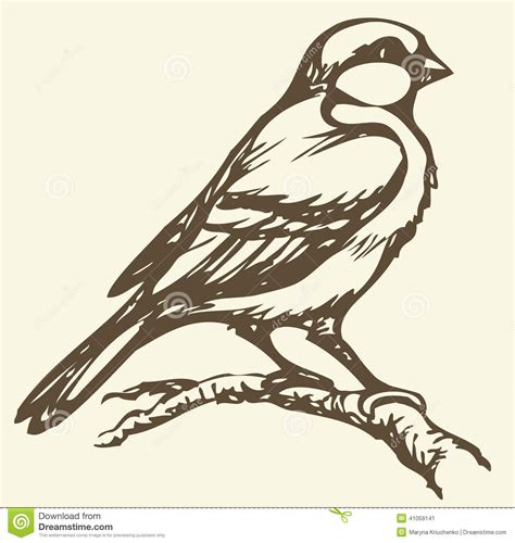 Vector Drawing Small Titmouse On A Branch Stock