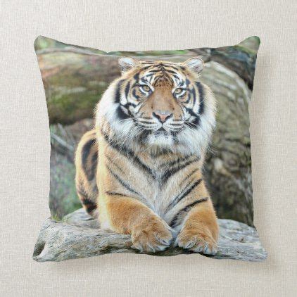 Cuddle and snuggle with the auburn tigers pillow pet by fabrique! Photo tiger , animals 0288. throw pillow | Zazzle.com ...