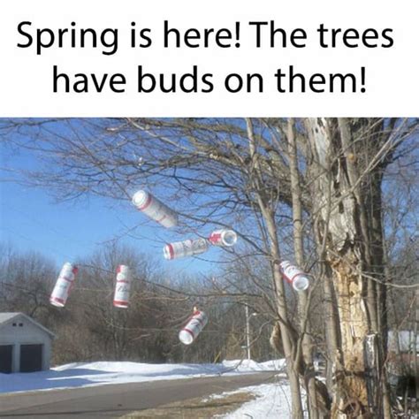 Spring Has Sprung And So Have The Spring Memes 25 Memes