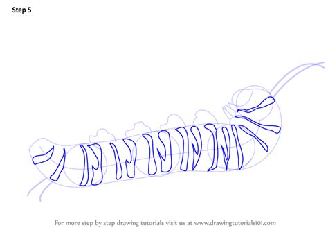 Great for practice and early learning. Learn How to Draw a Caterpillar (Insects) Step by Step ...