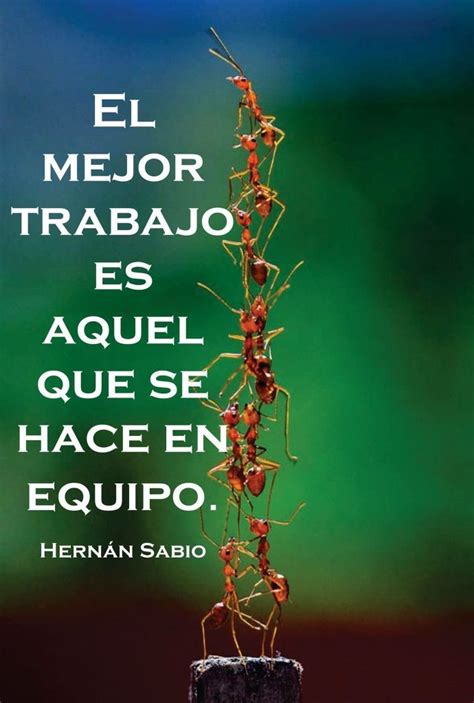 Frases de Trabajo en Equipo Para Lograr el Éxito | Frase motivacional