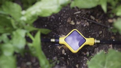 Edyn Smart Garden Monitoring System Gadgetfreak Not Just Tech