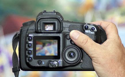 If you're looking to learn how to take good pictures using your phone, we've got you covered with our guide on phone photography tips and tricks. Going On A Photo Safari Vacation Step By Step - VacationCounts