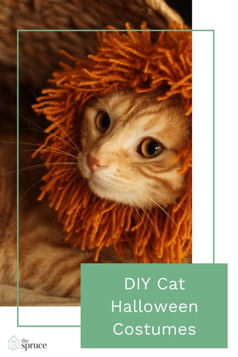 These Do It Yourself Halloween Costumes For Cats Are Perfect For All