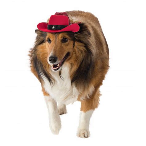 Cowboy Hat Dog Costume Red Baxterboo